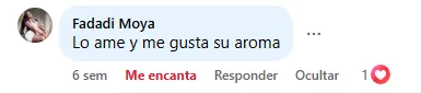 Captura de un comentario de un cliente sobre Save a Playa.