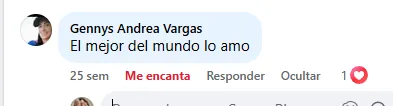Captura de un comentario de un cliente sobre Save a Playa.