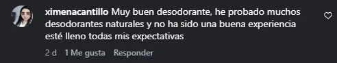 Captura de un comentario de un cliente sobre Save a Playa.