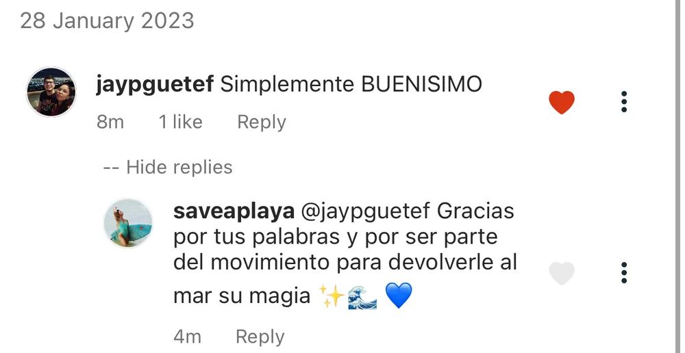 Captura de un comentario de un cliente sobre Save a Playa.