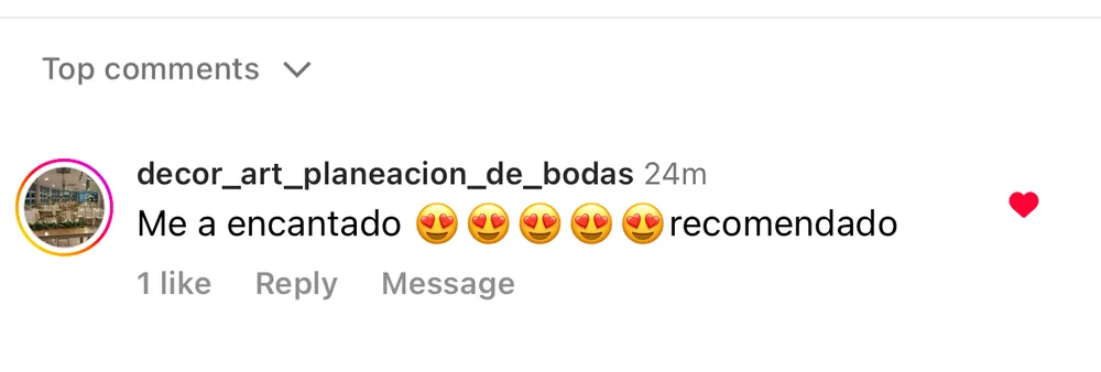 Captura de un comentario de un cliente sobre Save a Playa.