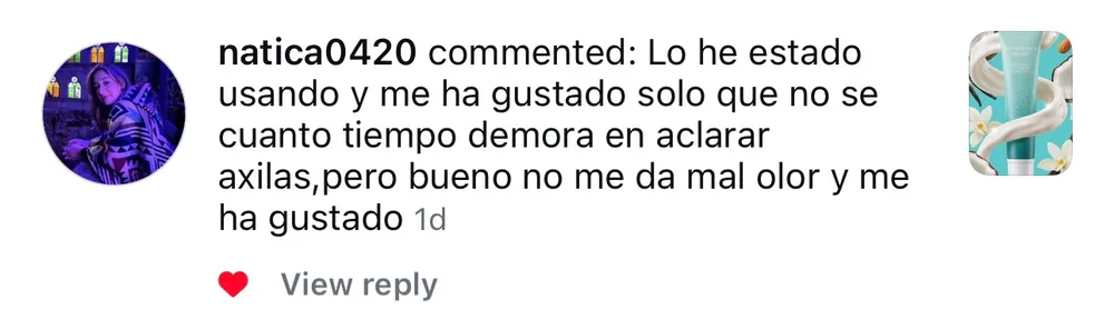 Captura de un comentario de un cliente sobre Save a Playa.