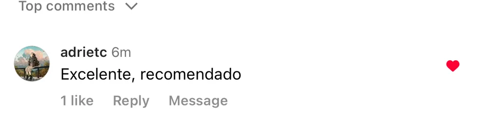 Captura de un comentario de un cliente sobre Save a Playa.