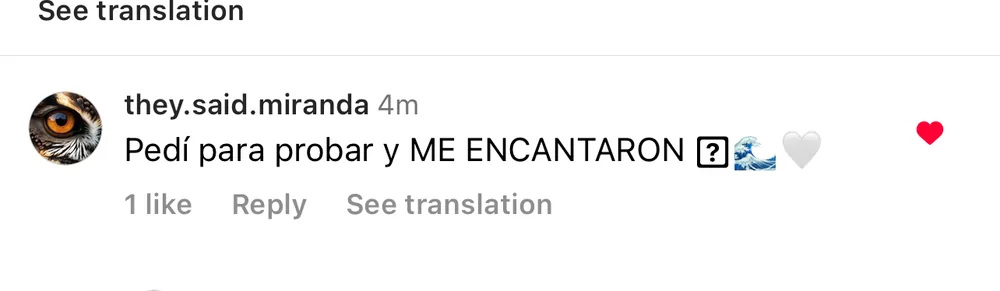 Captura de un comentario de un cliente sobre Save a Playa.