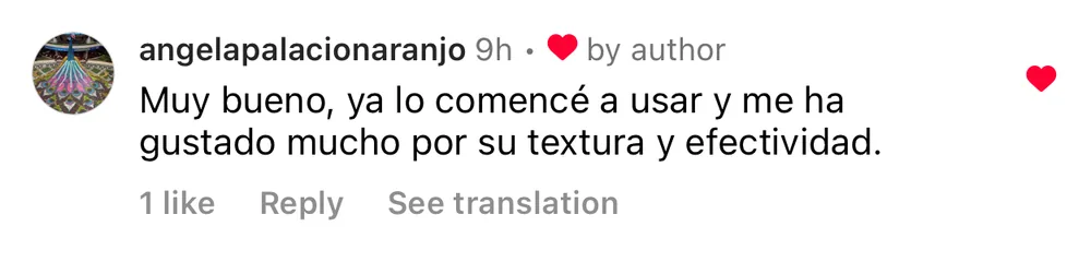 Captura de un comentario de un cliente sobre Save a Playa.