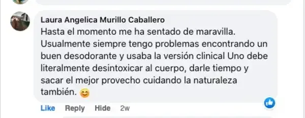 Captura de un comentario de un cliente sobre Save a Playa.