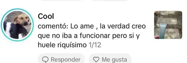 Captura de un comentario de un cliente sobre Save a Playa.