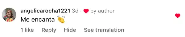 Captura de un comentario de un cliente sobre Save a Playa.