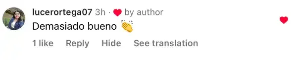 Captura de un comentario de un cliente sobre Save a Playa.