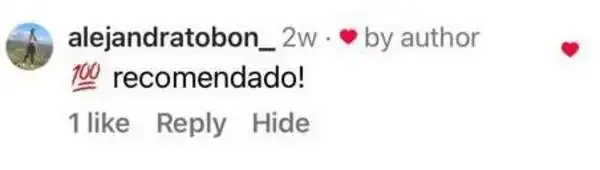 Captura de un comentario de un cliente sobre Save a Playa.