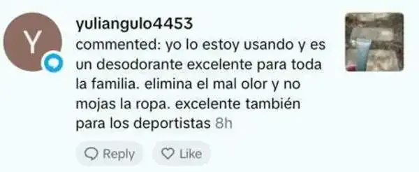 Captura de un comentario de un cliente sobre Save a Playa.