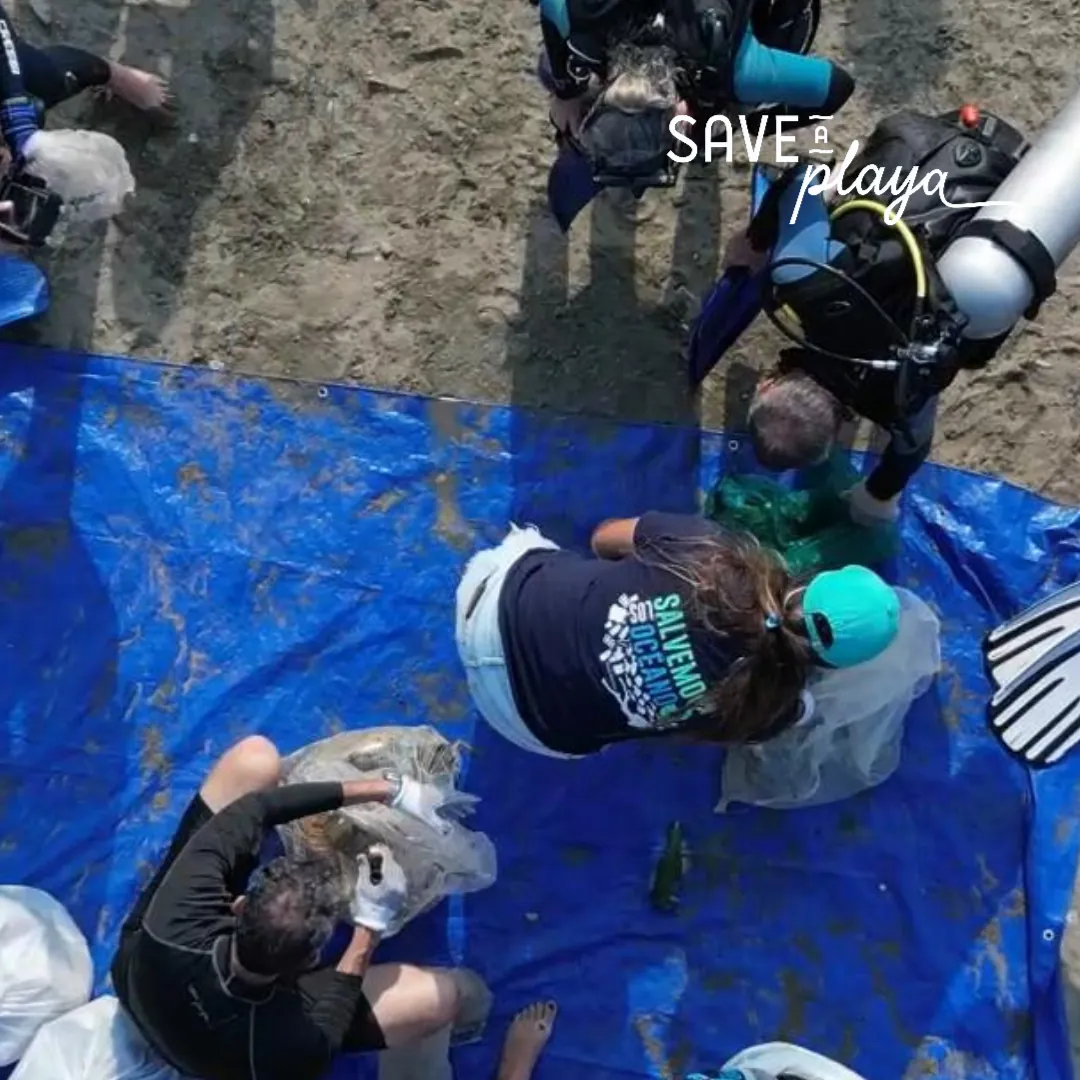 De vuelta en tierra, los voluntarios clasifican lo recogido.