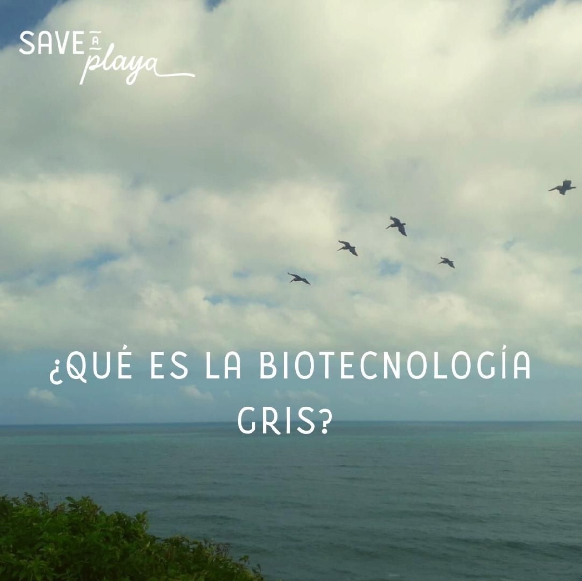 ¿Que es la Biotecnologia Gris?