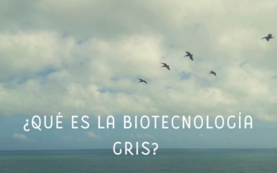 ¿Que es la Biotecnologia Gris?