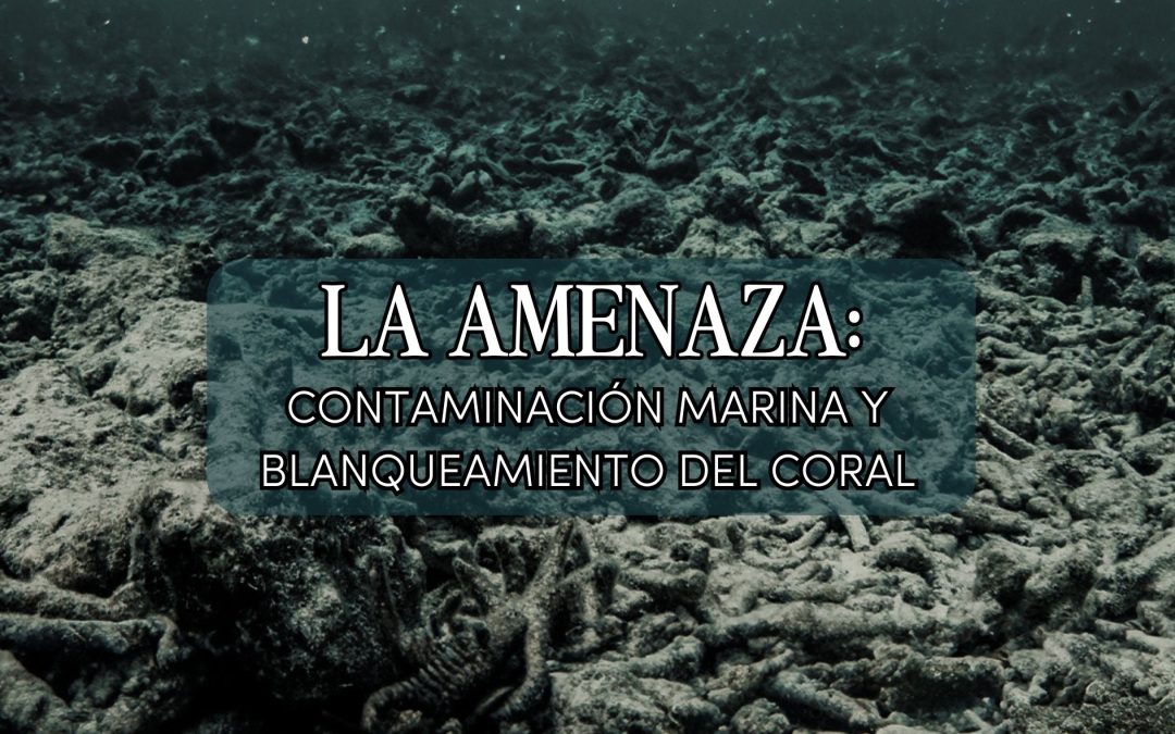 Ecosistema marino afectado por la contaminación y el cambio climático"