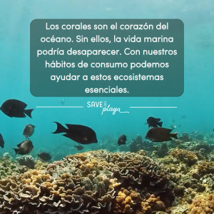 Arrecife de coral y peces demostrando la importancia de los corales para la vida marina